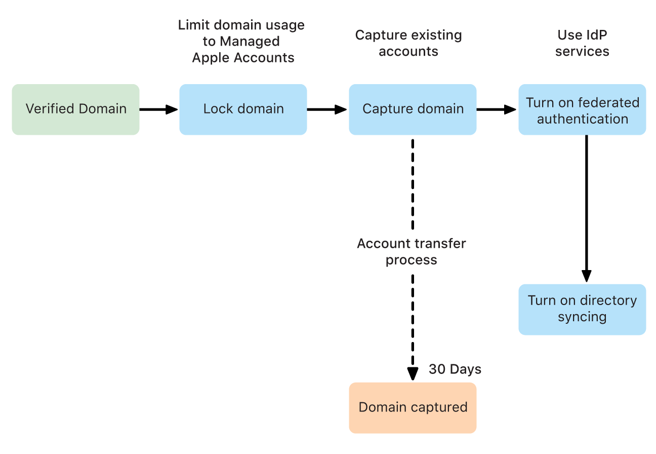 Vývojový diagram zobrazující tři možnosti po ověření domény: zamknutí domény, přivlastnění domény a používání federovaného ověřování.
