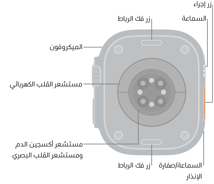 الجزء الخلفي من Apple Watch Ultra 3، مع زري تعديل الرباط في الأعلى والأسفل. يوجد على الجانب ميكروفون، ومكبر صوت، ومستشعر نبض القلب الكهربائي، وزر الإجراءات، ومنفذ مكبر صوت ينبعث منه صفارة الإنذار، ومستشعر أكسجين الدم، ومستشعر القلب البصري.