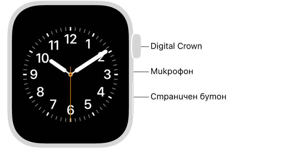 Предната страна на Apple Watch SE 3 с екран, показващ циферблат, и от горе надолу, встрани от часовника, коронката Digital Crown, микрофон и страничен бутон.