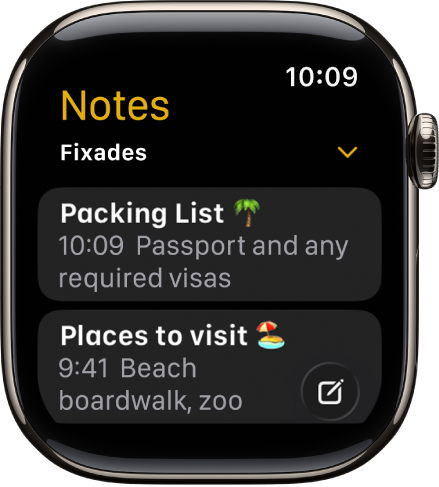 Pantalla de l’app Notes amb dues notes fixades.