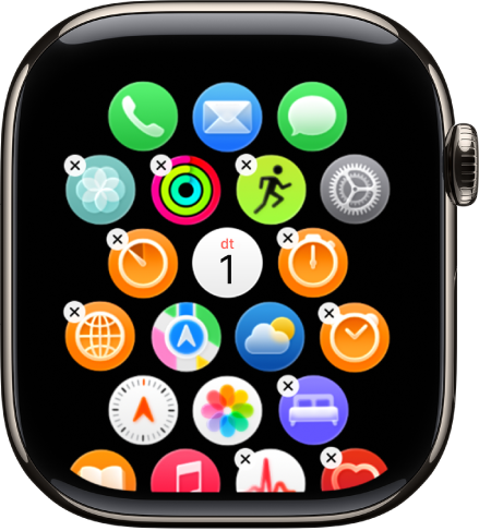 La pantalla de Disposició a l’app Apple Watch que mostra una retícula d’icones.
