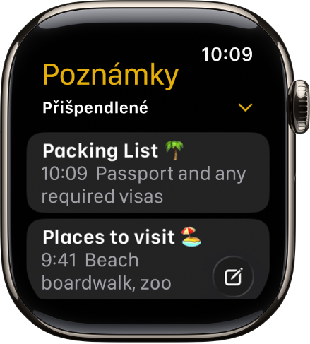 Seznam poznámek s přišpendlenými poznámkami na začátku