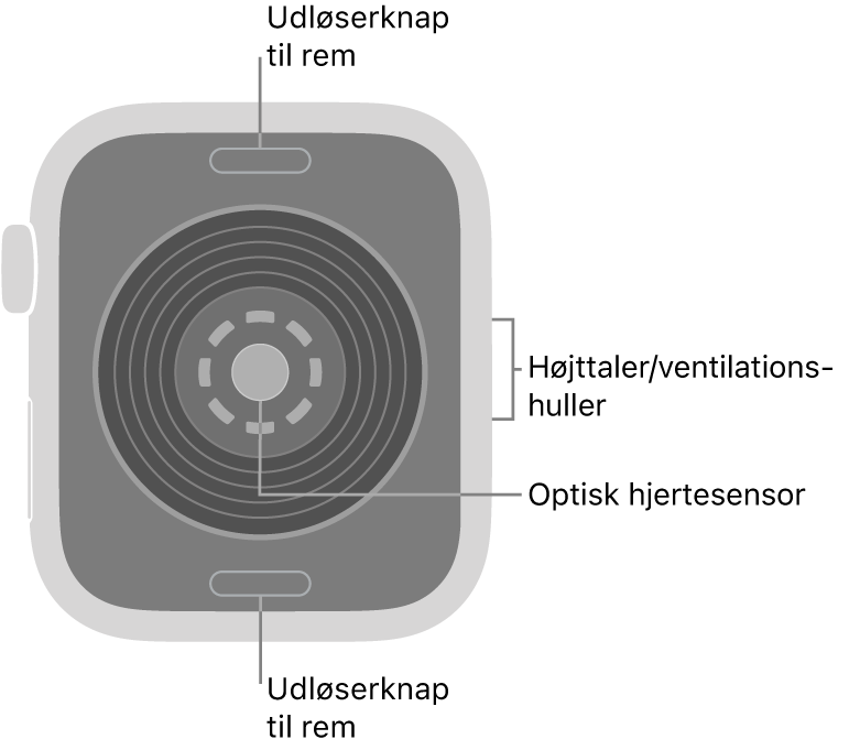 Bagsiden af Apple Watch SE 3 med udløserknapperne foroven og forneden, den optiske pulsmåler i midten og højttaleren/ventilationshullerne på siden.