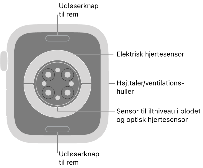 Bagsiden af Apple Watch Series 9 med udløserknapperne foroven og forneden, de elektriske pulsmålere, de optiske pulsmålere og sensorerne til iltniveau i blodet i midten og højttaleren/ventilationshullerne på siden.