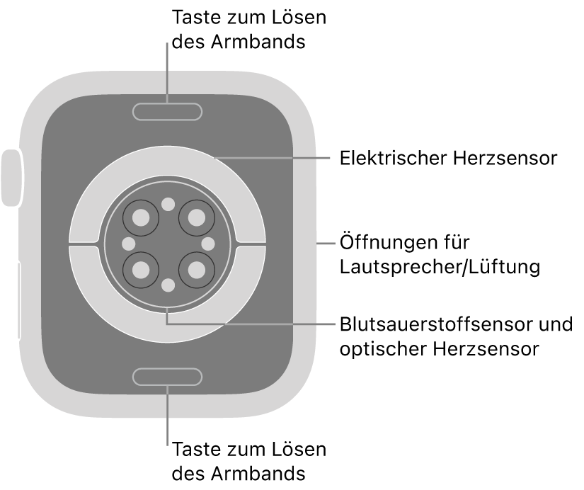 Die Rückseite der Apple Watch Series 9 mit Entriegelungstasten für das Armband oben und unten, elektrischem Herzsensor, optischem Herzsensor und dem Sensor für den Sauerstoffgehalt im Blut in der Mitte sowie den Lautsprecher-/Lüfteröffnungen an der Seite.