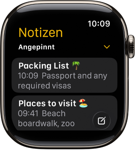 Der Bildschirm „Notizen“ zeigt zwei angepinnte Notizen.