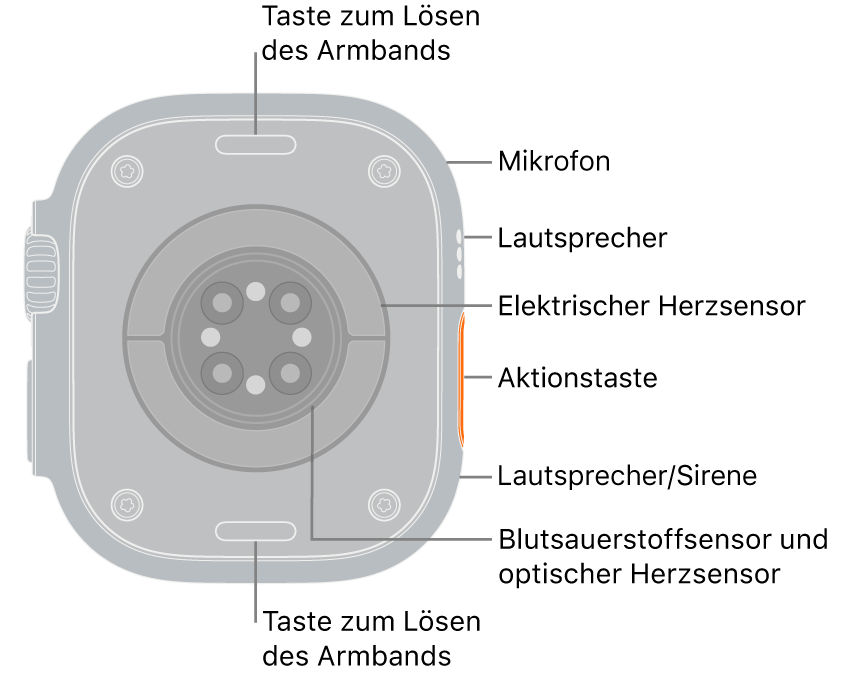 Die Rückseite der Apple Watch Ultra 3 mit den Entriegelungstasten für das Armband oben und unten. An der Seite ist Folgendes zu sehen: Mikrofon, Lautsprecher, elektrischer Herzsensor, Aktionstaste, eine Lautsprecheröffnung, über die das Alarmsignal der Sirene ausgegeben wird, Blutsauerstoffsensoren und optische Herzsensoren.