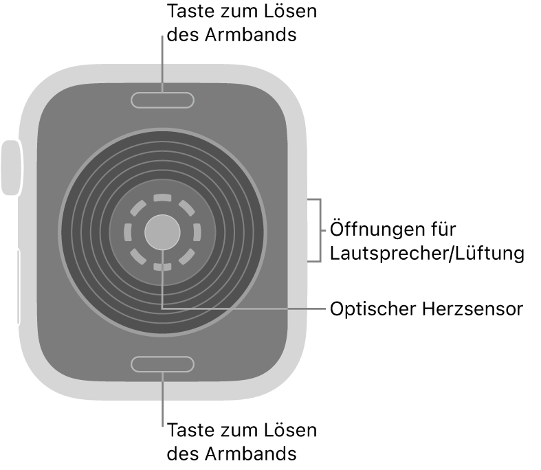 Die Rückseite der Apple Watch SE 3 mit Entriegelungstasten für das Armband oben und unten, dem optischen Herzsensor in der Mitte sowie den Lautsprecher-/Lüfteröffnungen an der Seite.