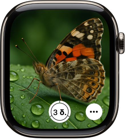 Στην οθόνη του Apple Watch εμφανίζεται η προβολή της κάμερας του iPhone. Το κουμπί κλείστρου βρίσκεται κάτω στο κέντρο. Το κουμπί «Περισσότερες επιλογές» βρίσκεται κάτω δεξιά.
