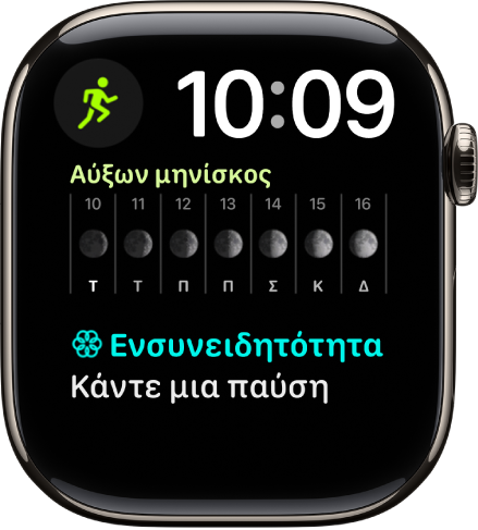 Η πρόσοψη ρολογιού «Αρθρωτό, ώρες-λεπτά» όπου εμφανίζεται ένα ψηφιακό ρολόι κοντά στην πάνω δεξιά πλευρά, και τρεις πολυπλοκότητες: «Προπόνηση» πάνω αριστερά, «Φάση σελήνης» στη μέση και «Ενσυνειδητότητα» στο κάτω μέρος.