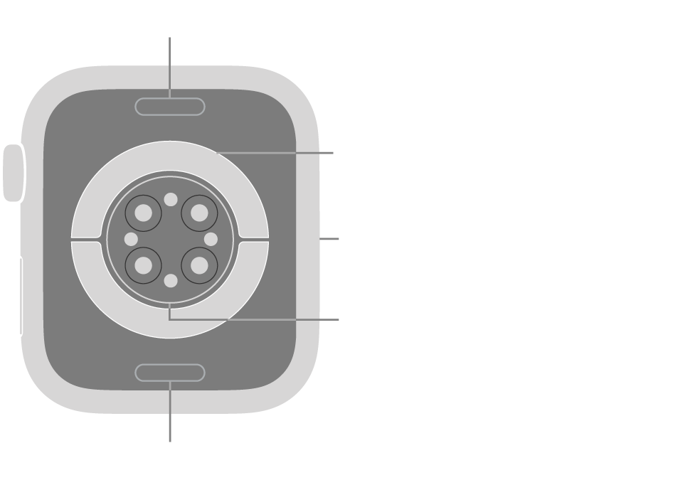 The back of Apple Watch Series 9, with the band release buttons at top and bottom, the electrical heart sensors, optical heart sensors, and blood oxygen sensors in the middle, and the speaker/air vents on the side.