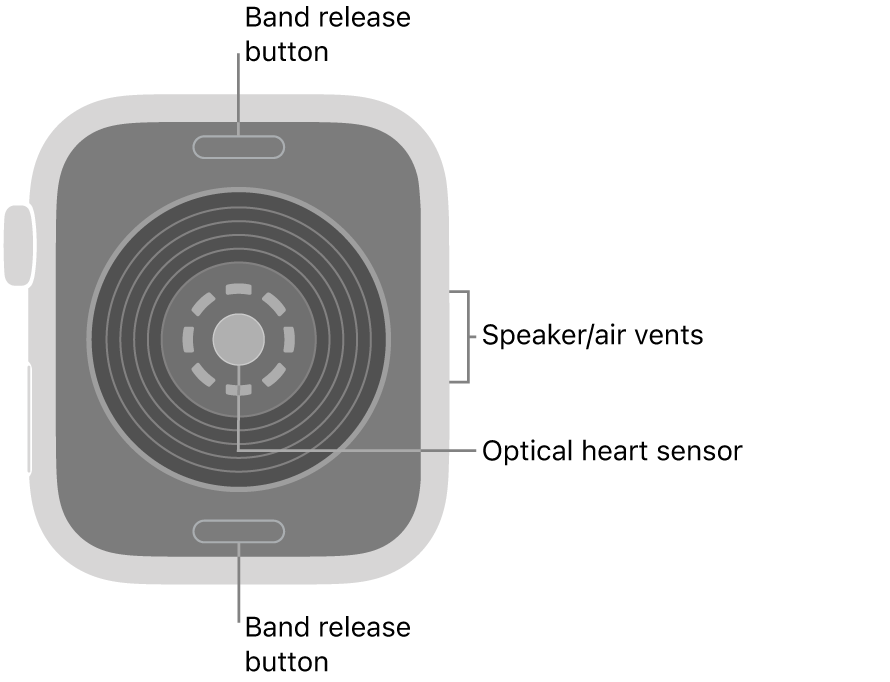 The back of Apple Watch SE 3, with the band release buttons at top and bottom, the optical heart sensor in the middle, and the speaker/air vents on the side.