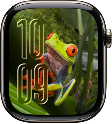The Photos watch face.