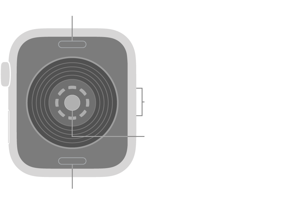 The back of Apple Watch SE 3, with the band release buttons at top and bottom, the optical heart sensor in the middle, and the speaker/air vents on the side.