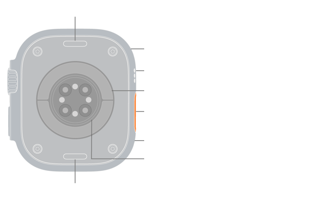 The back of Apple Watch Ultra 3, with the band release buttons at top and bottom. On the side are a microphone, a speaker, the electrical heart sensor, the Action button, a speaker port from which the siren emits, blood oxygen sensors, and optical heart sensors.