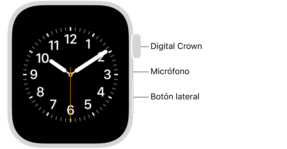 En el frente del Apple Watch SE 3, se muestra la pantalla con la carátula y, en orden descendente en un lado del reloj, se ve la Digital Crown, el micrófono y el botón lateral.