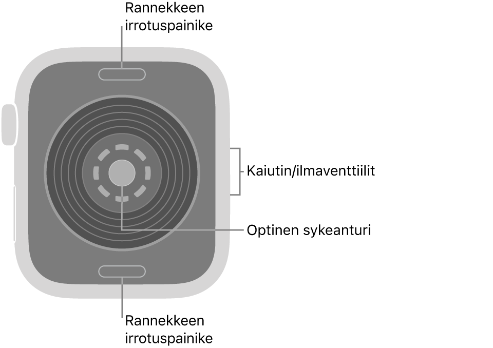 Apple Watch SE 3:n takaosa, jossa on rannekkeen irrotuspainikkeet ylhäällä ja alhaalla, optinen sykeanturi keskellä ja kaiutin/ilmastointiaukot sivulla.