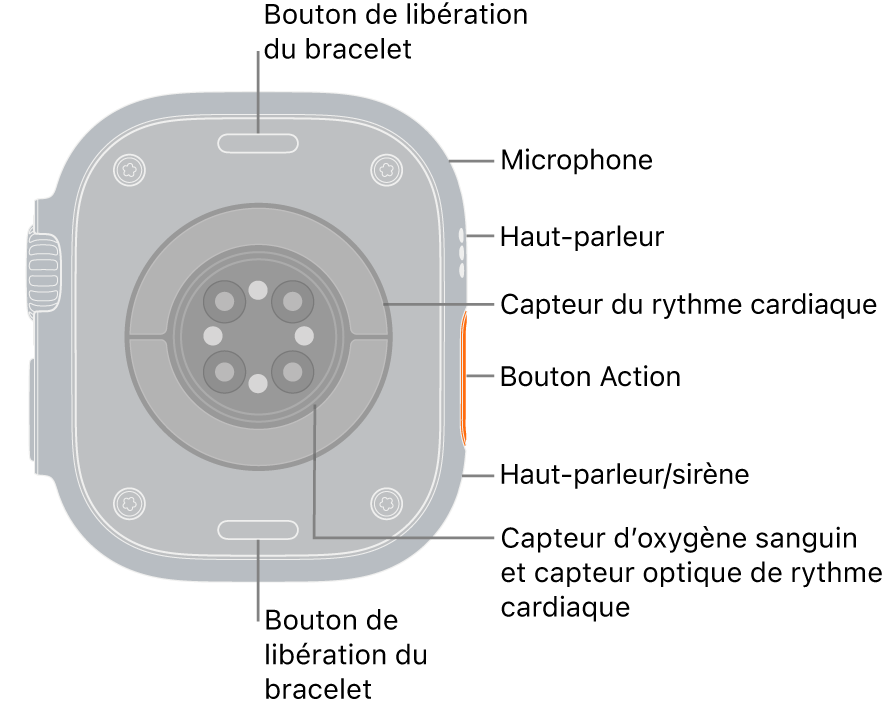 L’arrière de l’Apple Watch Ultra 3, avec les boutons de retrait du bracelet en haut et en bas. Sur le côté se trouvent un micro, un haut-parleur, le capteur de fréquence cardiaque électrique, le bouton Action, un port de haut-parleur dédié à la sirène, les capteurs d’oxygène sanguin et les capteurs de fréquence cardiaque optiques.