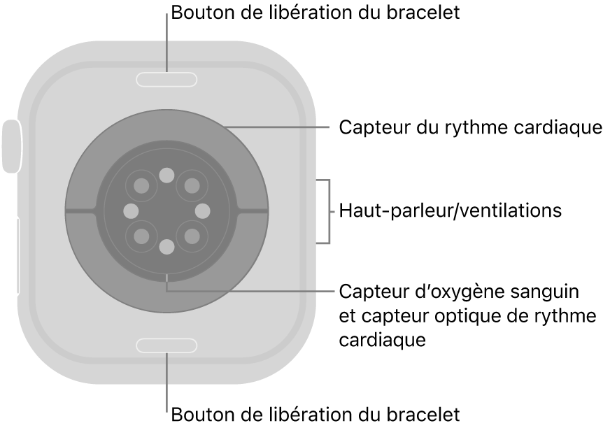 Le dos de l’Apple Watch Series 10, avec les boutons de retrait du bracelet en haut et en bas, les capteurs de fréquence cardiaque électriques et optiques et les capteurs d’oxygène sanguin au centre, et le haut-parleur et les évents sur le côté.