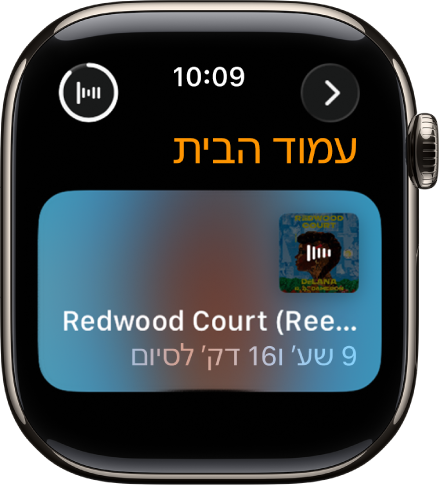 מסך של ״ספרי שמע״ שמציג את הספר הנוכחי, עם שם הספר והזמן שנותר לסיום ההשמעה. הכפתור ״מתנגן כעת״ נמצא למעלה מימין.
