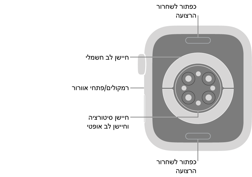 החלק האחורי של Apple Watch Series 9 עם כפתורי שחרור הרצועה למעלה ולמטה, חיישני הדופק האלקטרוניים, חיישני הדופק האופטיים וחיישני רמת החמצן בדם בחלק המרכזי והרמקול/פתחי האוורור בצד.