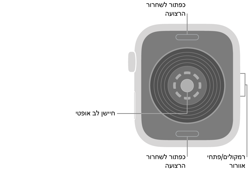 החלק האחורי של Apple Watch SE 3 עם כפתורי שחרור הרצועה למעלה ולמטה, חיישן הדופק האופטי בחלק המרכזי והרמקול/פתחי האוורור בצד.