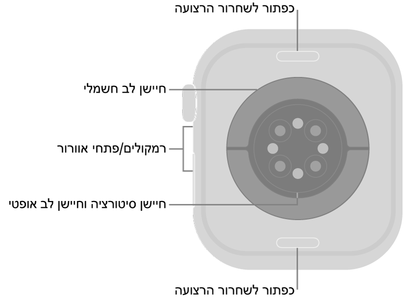 תצוגה אחורית של ה‑Apple Watch Series 10 עם כפתורי שחרור הרצועה למעלה ולמטה, עם חיישני הדופק האלקטרוניים, חיישני הדופק האופטיים וחיישני רמת החמצן בדם בחלק המרכזי, ועם הרמקול/פתחי האוורור בצד.