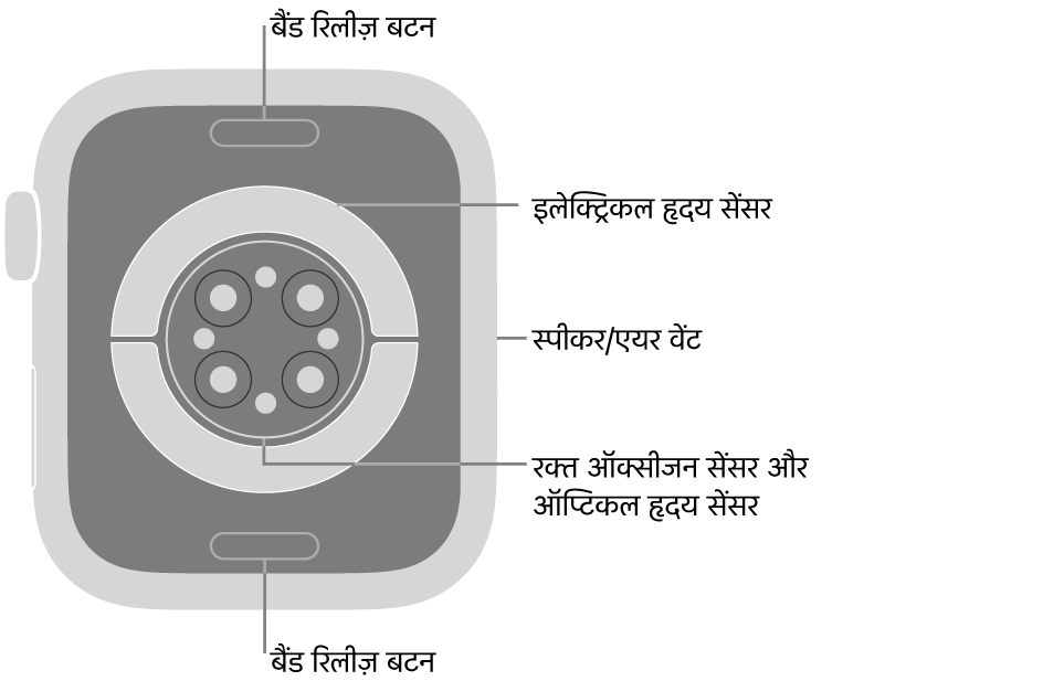 Apple Watch Series 9 का पीछे का हिस्सा, जिसमें शीर्ष पर और नीचे की ओर “बैंड रिलीज़ करें” बटन, बीच में इलेक्ट्रिकल हृदय सेंसर, ऑप्टिकल हृदय सेंसर और रक्त ऑक्सीजन सेंसर और साइड में स्पीकर/ एयर वेंट हैं।