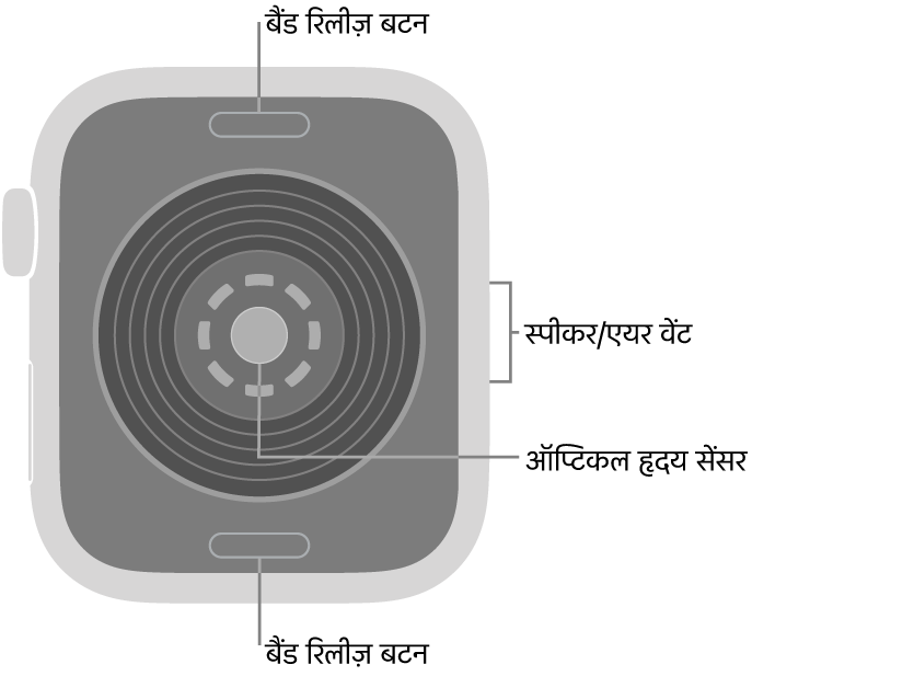 Apple Watch SE 3 का पीछे का हिस्सा, जिसके शीर्ष पर और सबसे नीचे बैंड रिलीज़ बटन, बीच में ऑप्टिकल हृदय सेंसर और साइड पर स्पीकर/एयर वेंट हैं।