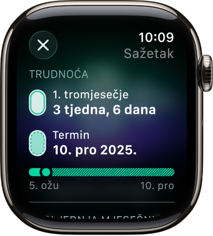 Na zaslonu aplikacije Praćenje ciklusa prikazuje se sažetak trudnoće s gestacijskom dobi i terminom poroda u središtu zaslona.