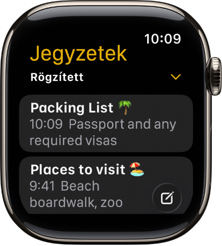 A Jegyzetek képernyő két rögzített jegyzettel.
