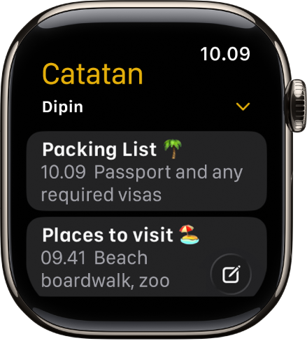 Layar Catatan menampilkan dua catatan yang dipin.