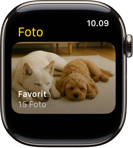 App Foto di Apple Watch menampilkan album bernama Favorit.