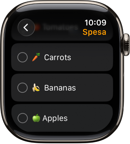 L’app Promemoria con due promemoria. I promemoria si trovano nella parte superiore dello schermo, mentre sotto è visibile il pulsante “Aggiungi promemoria”.