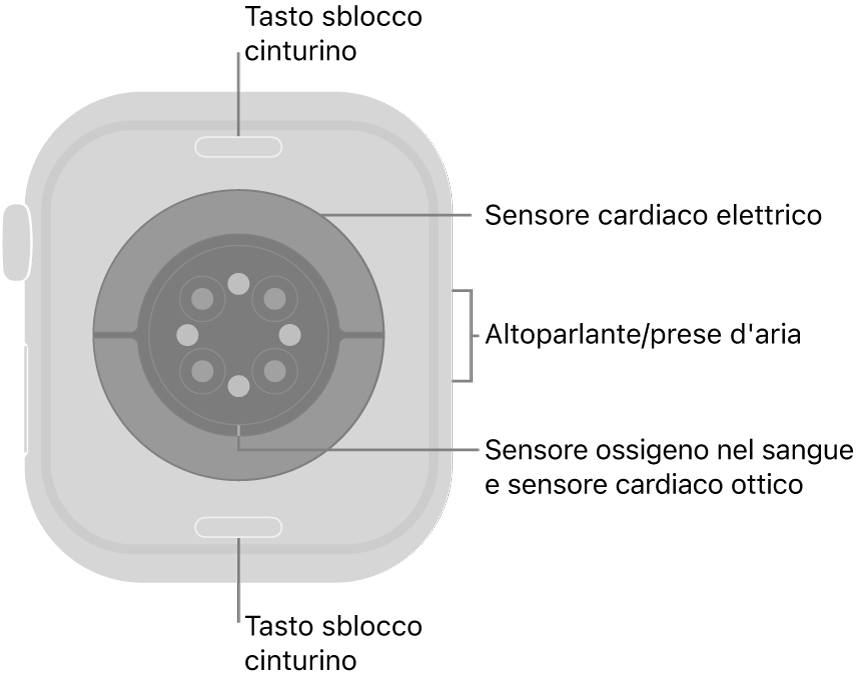 Apple Watch Series 10, visto da dietro, con i pulsanti di sblocco del cinturino in alto e in basso, i sensori elettrici per il cuore, i sensori ottici per il cuore e i sensori per il livello di ossigeno nel sangue al centro, e l’altoparlante e i condotti di ventilazione sul lato.