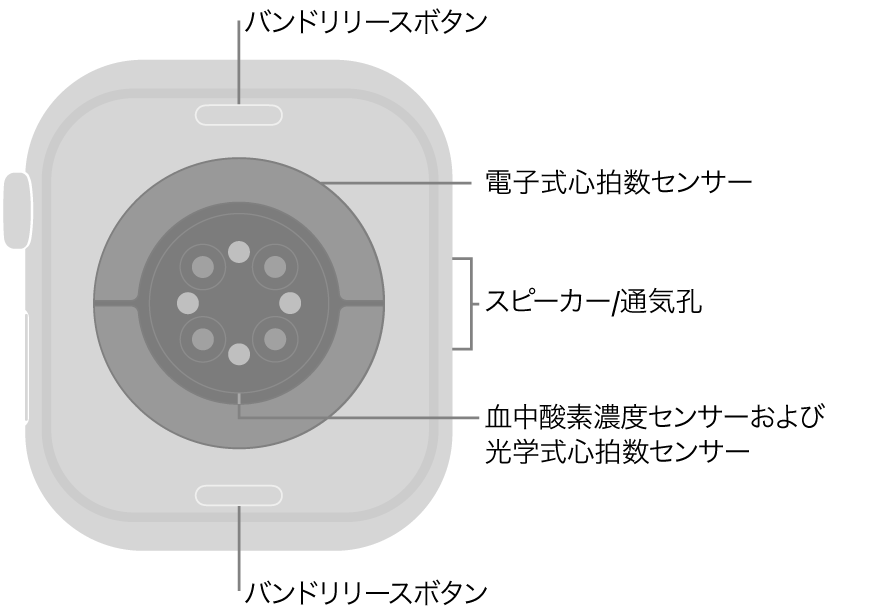 Apple Watch Series 10の背面で、上下にバンドリリースボタン、中央に電気式心拍数センサー、光学式心拍数センサー、血液酸素ウェルネスセンサー、側面にはスピーカー/通気孔があります。
