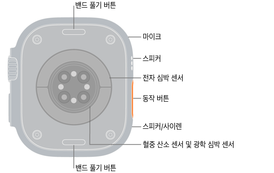 상단 및 하단에 밴드 풀기 버튼이 보이는 Apple Watch Ultra 3의 후면. 측면에는 마이크, 스피커, 전자 심장 센서, 동작 버튼, 사이렌이 재생되는 스피커 포트, 혈중 산소 센서 및 광학 심장 센서가 있음.