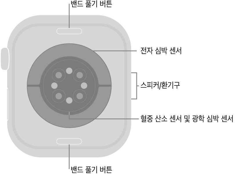 상단 및 하단에 밴드 풀기 버튼, 중앙에 전자 심장 센서, 광학 심장 센서 및 혈중 산소 센서, 측면에 스피커/환기구가 보이는 Apple Watch Series 10의 후면.
