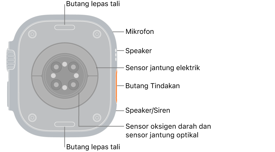 Belakang Apple Watch Ultra 3, dengan butang lepaskan tali di atas dan bawah. Di bahagian sisi ialah mikrofon, speaker, sensor jantung elektrik, butang Tindakan, port speaker dari tempat siren dipancarkan, sensor oksigen darah dan sensor jantung optikal.