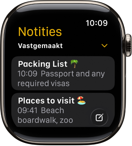 Het Notities-scherm met twee vastgemaakte notities.