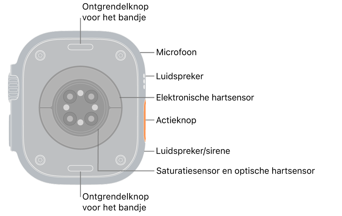De achterkant van de Apple Watch Ultra 3, met aan de boven- en onderkant de ontgrendelknoppen van het bandje. Aan de zijkant bevinden zich een microfoon, een luidspreker, de elektrische hartslagsensor, de actieknop, een luidsprekerpoort waaruit het geluid van de sirene komt, de saturatiesensoren en de optische hartsensoren.