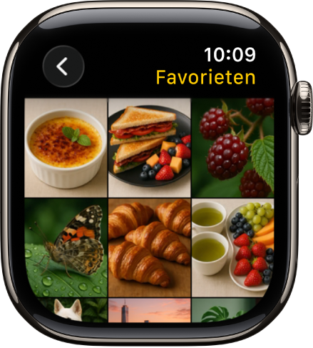 De Foto's-app op de Apple Watch met een album met de naam 'Favorieten', met verschillende foto's in een raster.