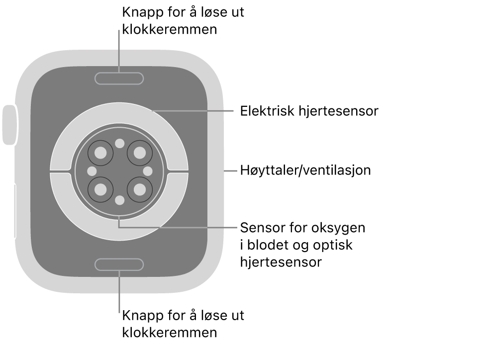 På baksiden av Apple Watch Series 9 vises remutløserknappene øverst og nederst, de elektriske pulssensorene, de optiske pulssensorene og sensorene for oksygen i blodet i midten, og høyttaleren/luftventilene på siden.