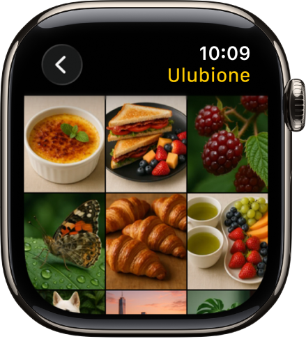 Aplikacja Zdjęcia na Apple Watch, wyświetlająca album Ulubione zawierający kilka zdjęć przedstawianych na siatce.