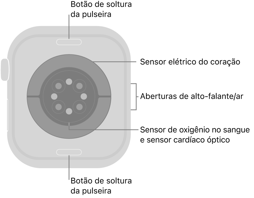 A parte traseira do Apple Watch Series 10, com os botões para soltar a pulseira na parte superior e inferior, os sensores elétricos cardíacos, ópticos cardíacos e de oxigênio no sangue no meio, e o alto-falante e as saídas de ar na lateral.