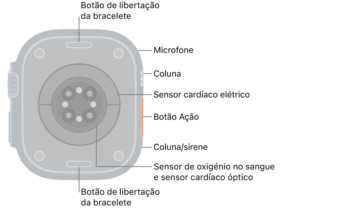 A parte traseira do Apple Watch Ultra 3 com os botões de libertação da bracelete na parte superior e inferior. Na parte lateral estão um microfone, uma coluna, o sensor cardíaco elétrico, o botão “Ação”, uma porta para altifalante de onde é emitida a sirene, sensores de oxigénio no sangue e sensores cardíacos óticos.
