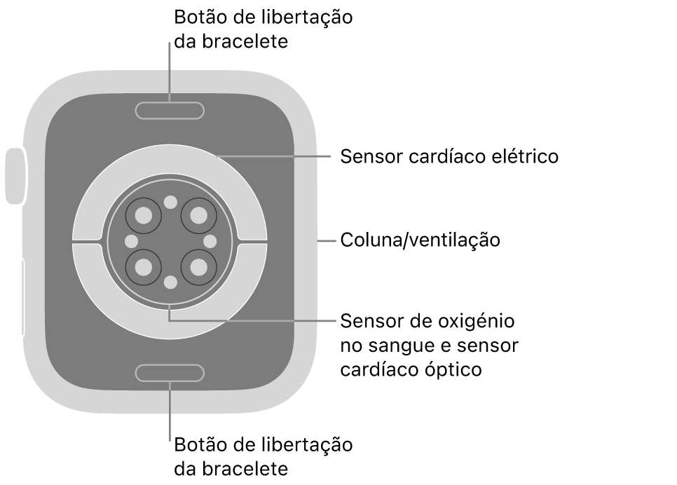 Apple Watch Series 9 visto de trás, com os botões de libertação da bracelete na parte superior e na parte inferior, os sensores cardíacos elétricos, os sensores cardíacos óticos e os sensores de oxigénio no sangue ao meio, e a coluna/ventilação na parte lateral.