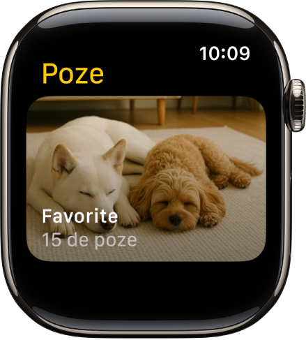Aplicația Poze pe Apple Watch afișând un album denumit Favorite.
