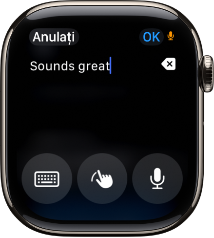 Ecranul câmp de text afișând un mesaj în partea de sus. Butoanele Tastatură pe ecran, Scris de mână și Dictare se află în partea de jos a ecranului.