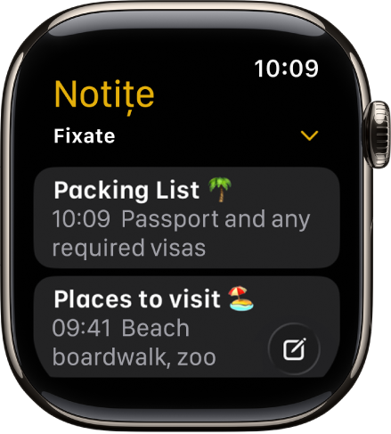 Ecranul Notițe afișând două notițe fixate.
